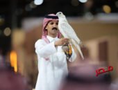 بالصور … بيع أغلى صقر في المزاد الدولي لمزارع إنتاج الصقور في الرياض بأكثر من 319 ألف دولارًا أمريكيًا