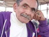 الكاتب الصحفى أشرف حمودة يكتب : كلاب الشارع ..ضحية هؤلاء