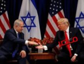 الكاتب الصحفى محسن هاشم يكتب : المجرمين. القتله