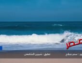 شاهد بالفيديو: الإسكندرية تحتفل بعيدها القومي.. عروس البحر المتوسط تروي تاريخًا من المجد تعليق شيرين الشافعى