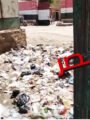 الكاتبة الصحفية حنان الليموني تكشف كارثة مركز شباب قحافه من صرح رياضي الى مقلب قمامة ..أين وزير الشباب ؟!