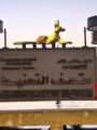 شاهد بالفيديو : متحف التحنيط بالأقصر.. رحلة إلى أسرار الخلود في حضارة المصريين القدماء تعليق شيرين الشافعى