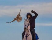 محمد العياف ونظرية “المرح التعليمي”.. كيف جمع بين الخيل والمعرفة؟