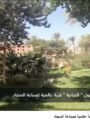 شاهد بالفيديو … الحرانية..قرية مصرية نسجت تراثها بخيوط الإبداع ووصلت إلى العالمية تعليق شيرين الشافعى
