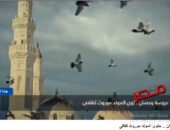 شاهد بالفيديو  … عروسة وحصان المولد.. حكاية من قلب التراث المصري تعليق شيرين الشافعي