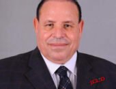 الجوهري الشبيني: مصر أمام فرصة تاريخية لتصبح مركزًا إقليميًا لتجارة وتداول الطاقة