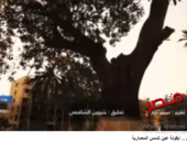 شاهد بالفيديو: متحف قصر الزعفران.. حين يلتقي التاريخ بالعلم في قلب جامعة عين شمس