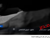 شاهد بالفيديو … جمال الغيطاني.. حارس ذاكرة القاهرة وصانع مجد الرواية المصرية بصوت شيرين الشافعي