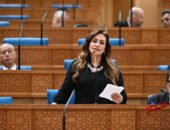 نفين فارس تفتح ملف تمويل مشروعات التنمية بمجلس الشيوخ